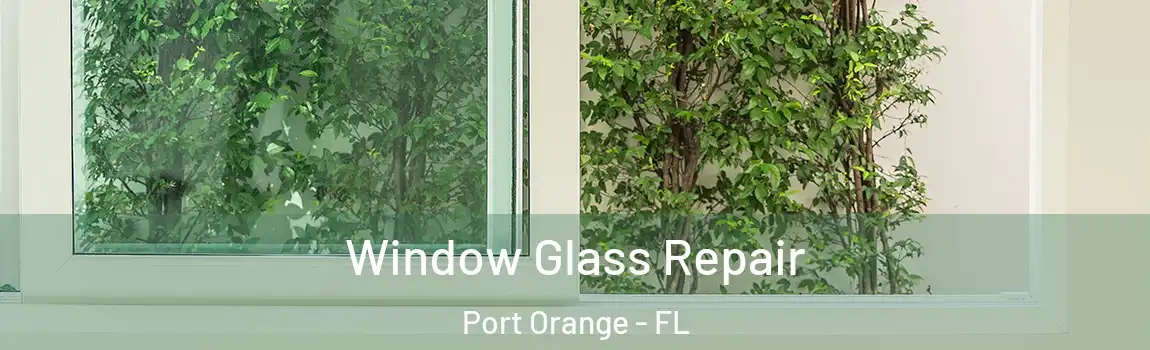  Window Glass Repair Port Orange - FL
