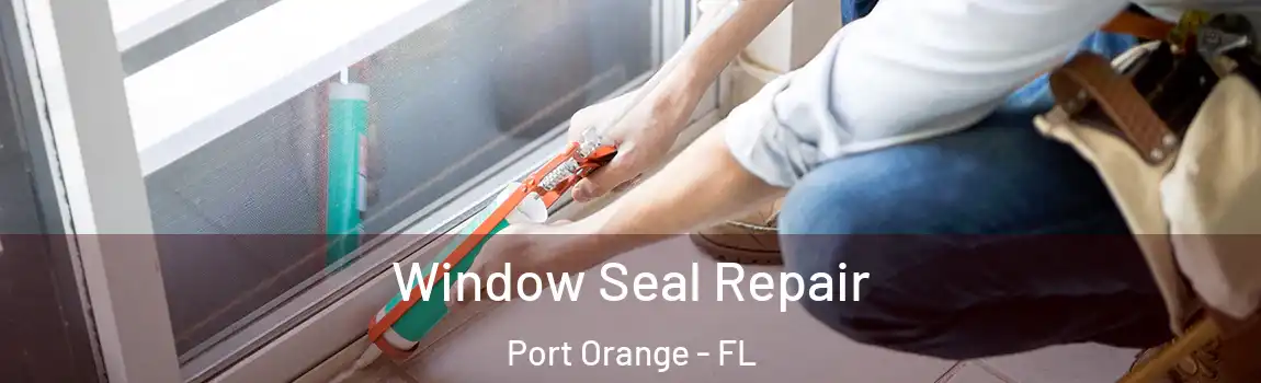  Window Seal Repair Port Orange - FL